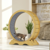 cat exercise wheel bepety