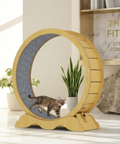 cat exercise wheel bepety