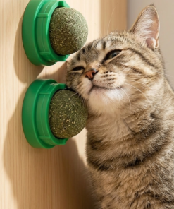 Premium Wall-Mounted Rotatable Catnip Balls for Contented Cats - Bepety