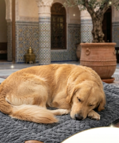 Alternative view of Best Orthopedic Pet Bed Mat | Bepety™ Reversible