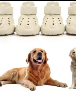 Alternative view of Bepety™ 4-Piece Anti-Slip Dog Clogs – Breathable & Protective Summer Pet Shoes